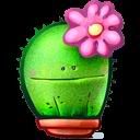 Cactus.jpg