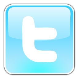 Twitter logo - on blog