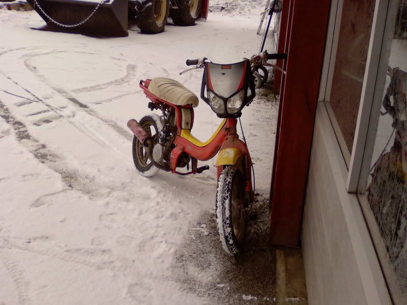 Postet bilde