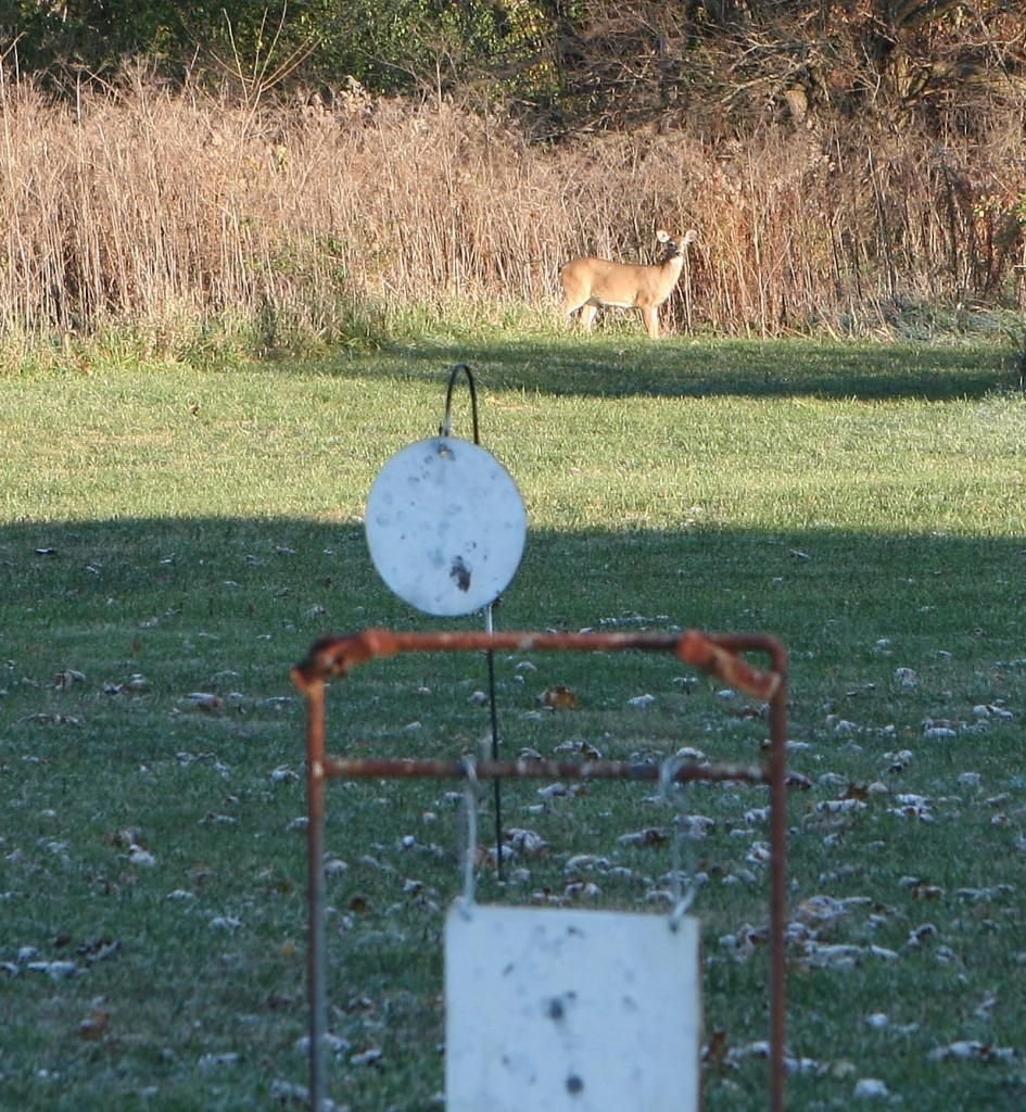 deerrangecrp.jpg