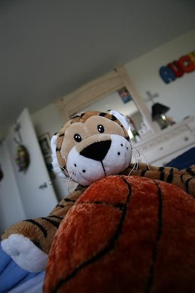 IMAGE: http://i115.photobucket.com/albums/n316/yandoli/IMG_0088.jpg