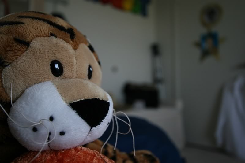 IMAGE: http://i115.photobucket.com/albums/n316/yandoli/IMG_0092.jpg