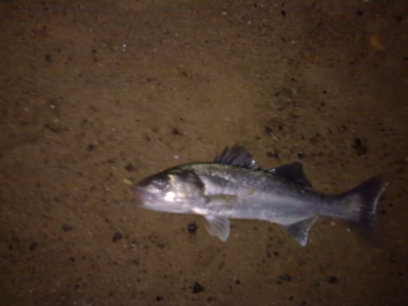 08052010049.jpg
