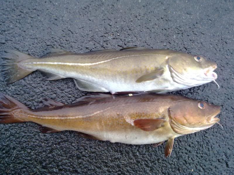 08102011504.jpg