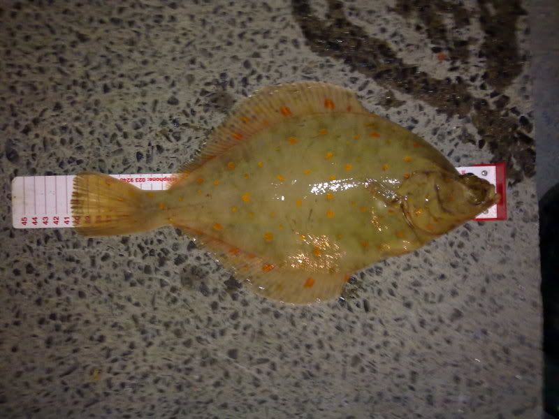 17052010058.jpg