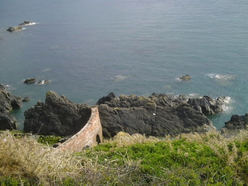 DSCI0078-1.jpg