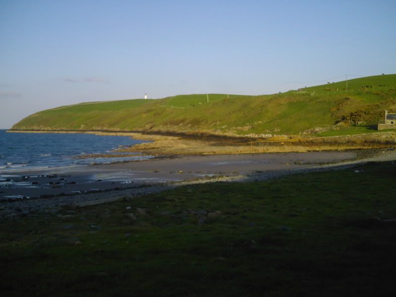 DSCI0083.jpg