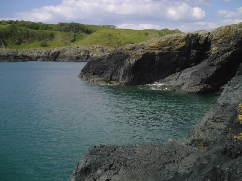 DSCI0096.jpg