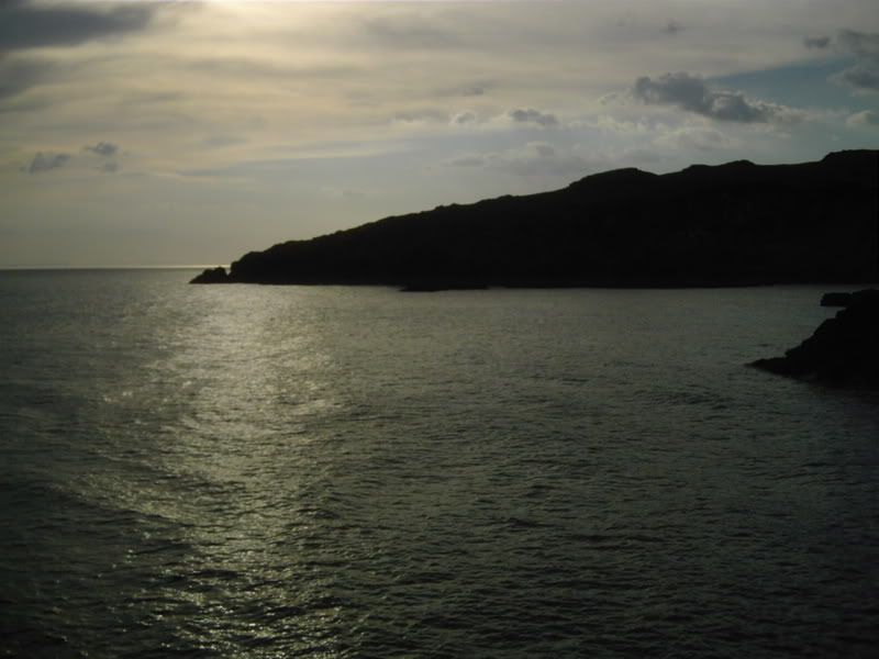 DSCI0106.jpg
