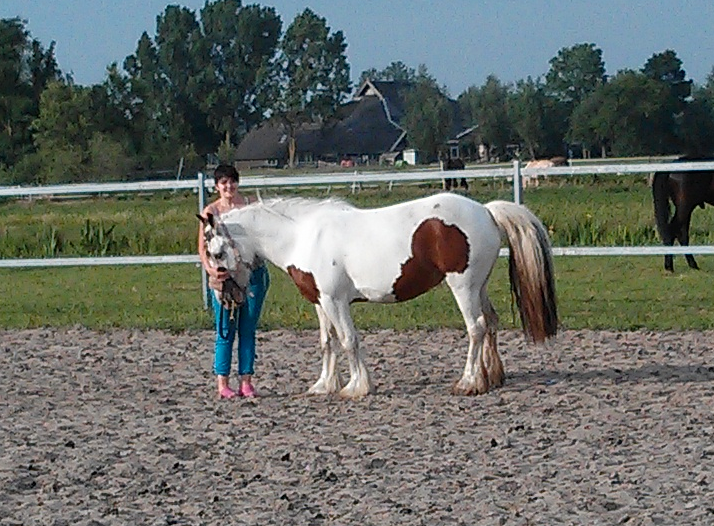 Afbeelding