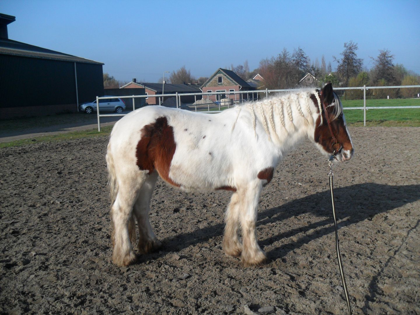Afbeelding