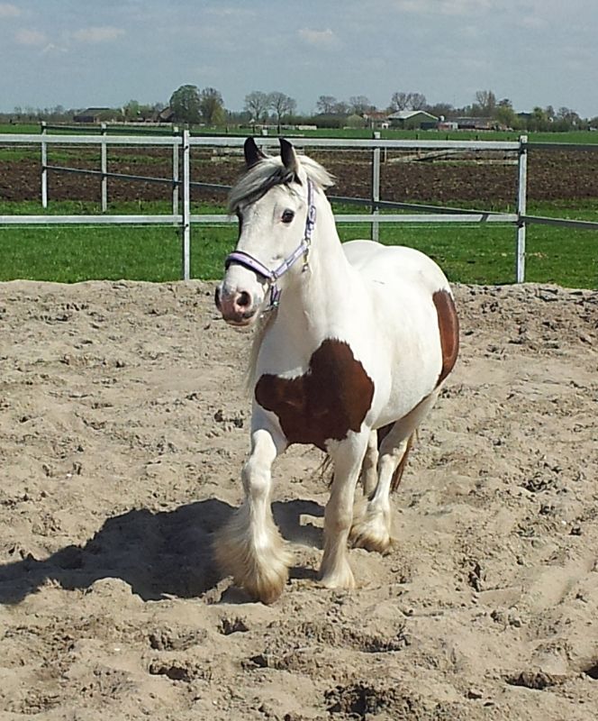 Afbeelding
