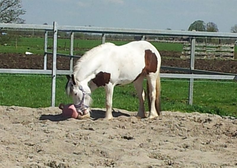 Afbeelding