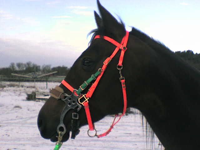 DSC00010.jpg
