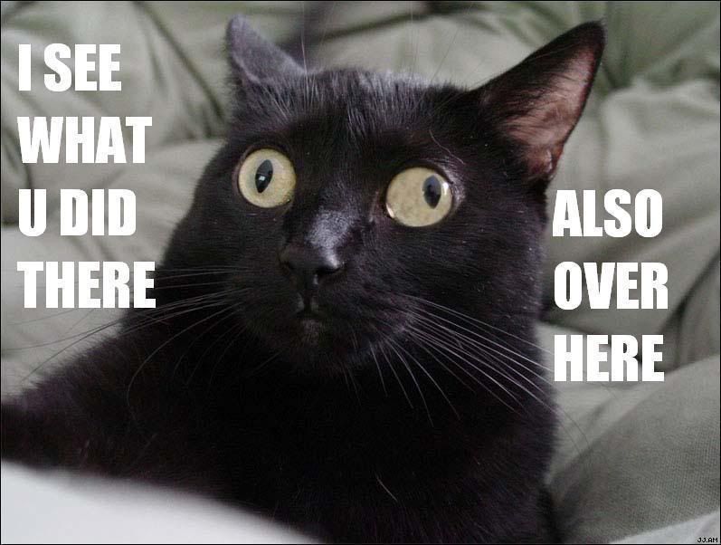 https://i115.photobucket.com/albums/n285/phreaknes/funny/iseewatudidthere.jpg
