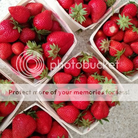  photo 2016-06-17_strawberries_001_zpsiwg73t3i.jpg