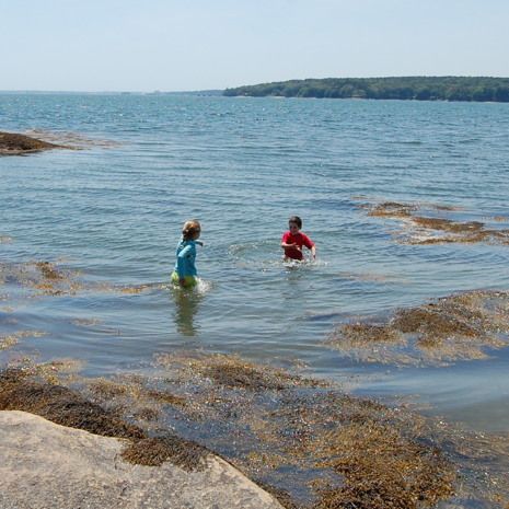  photo 2016-06-26_3_cottage_kids_swimming_007_zpskcawrgxk.jpg