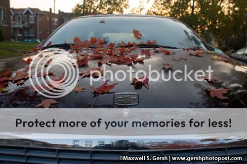 car with red leaves © Maxwell S. Gersh