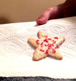 photo LM-cookie.jpg