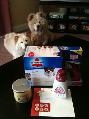 amazon11111.jpg picture by belladaisy27