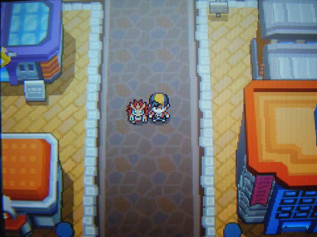 [PokeCommunity.com] Black and White 3D claim bogus?
