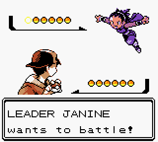 [PokeCommunity.com] Ultimate Monotype Challenge Thread