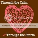 Through the Calm and Through the Storm